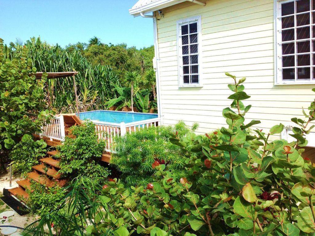 Hidden Gem Cabana Caye Caulker Dış mekan fotoğraf
